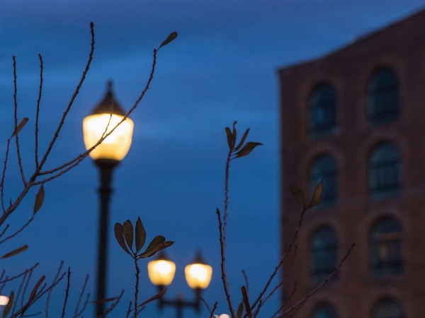 The Lodge Red Hook Main image